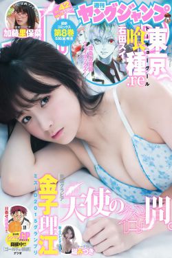 篮球火一共多少集